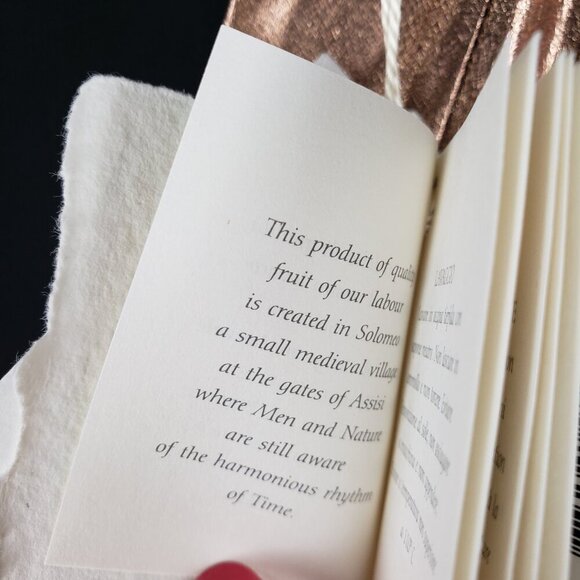 Brunello Cucinelli NWT Metallic Copper Silk Blouse Menswear Style Womens Size XL - Picture 13 of 15